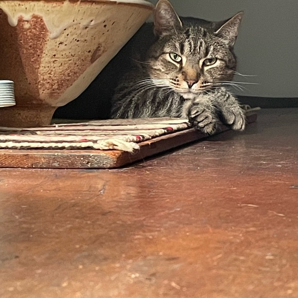 Meet your Posher, James - Picture 10 of 16